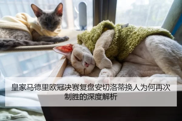 皇家马德里欧冠决赛复盘安切洛蒂换人为何再次制胜的深度解析