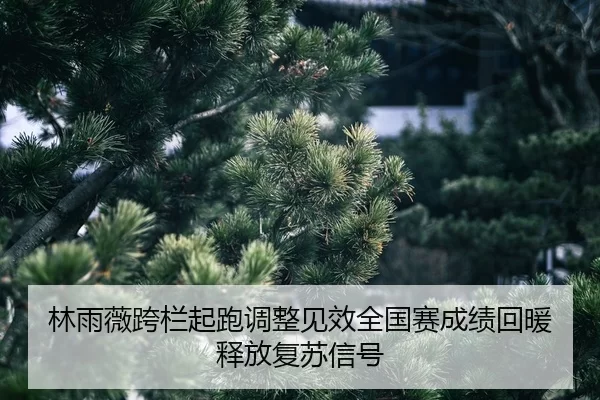 lin-yu-wei-kua-lan-qi-pao-tiao-zheng-jian-xiao-quan-guo-sai-cheng-ji-hui-nuan-shi-fang-fu-su-xin-hao-2-267.jpg