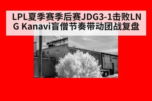 LPL夏季赛季后赛JDG3-1击败LNG Kanavi盲僧节奏带动团战复盘
