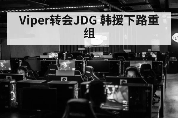 Viper转会JDG 韩援下路重组