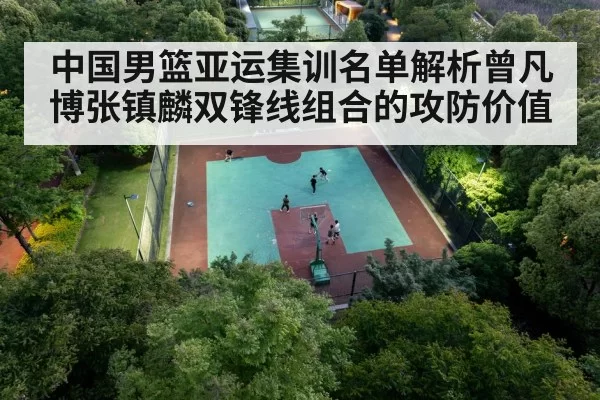 chinese basketball team