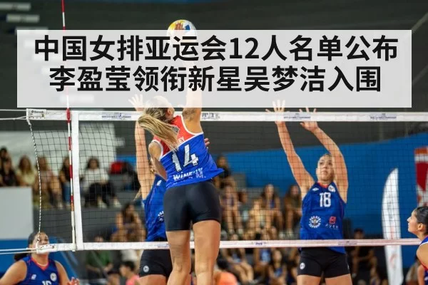 volleyball match action
